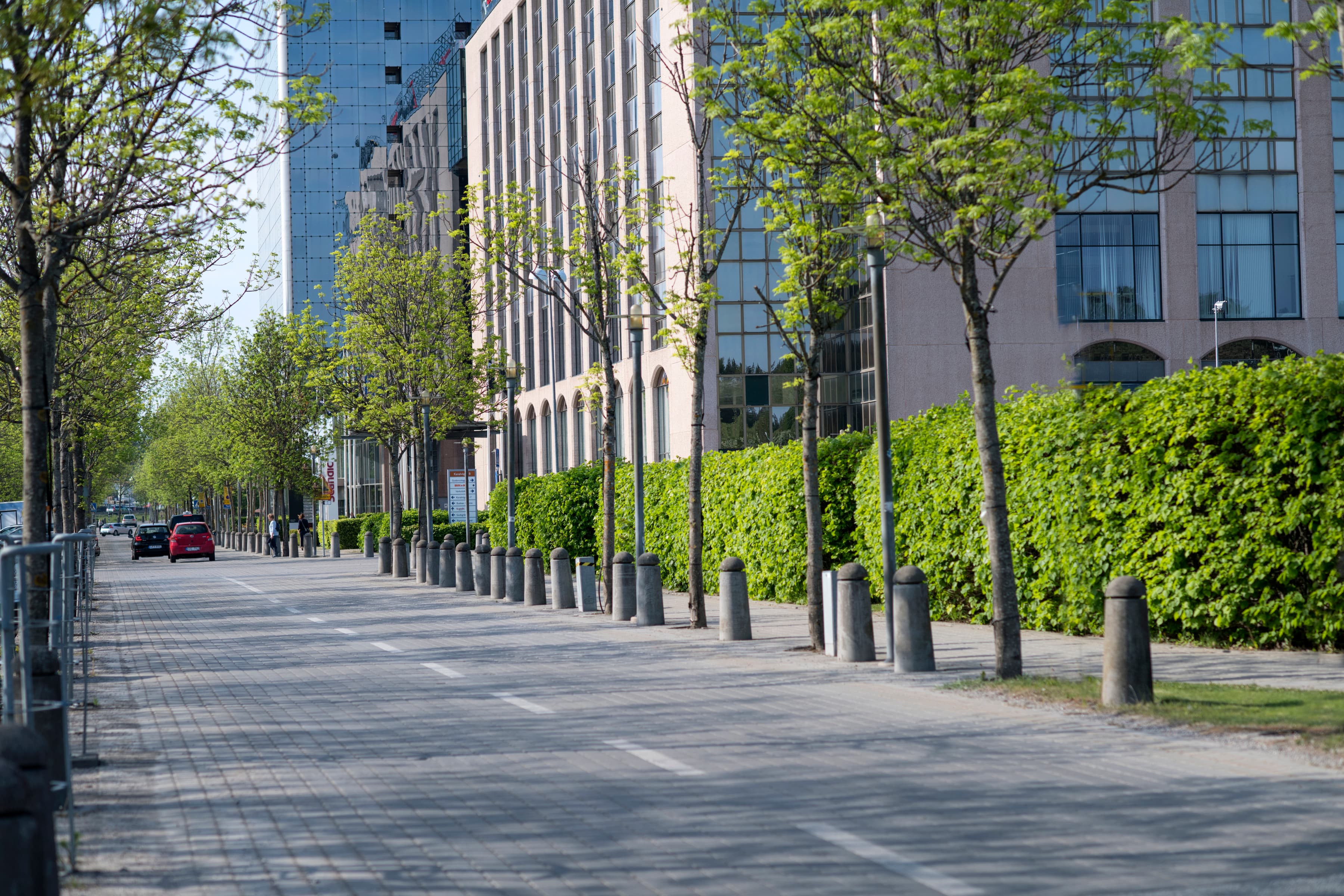 En stadsgata kantad av höga byggnader och träd.