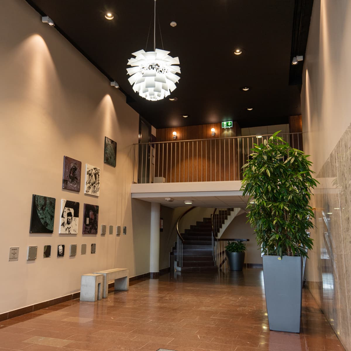 En lång korridor med en växt och bilder på väggen.