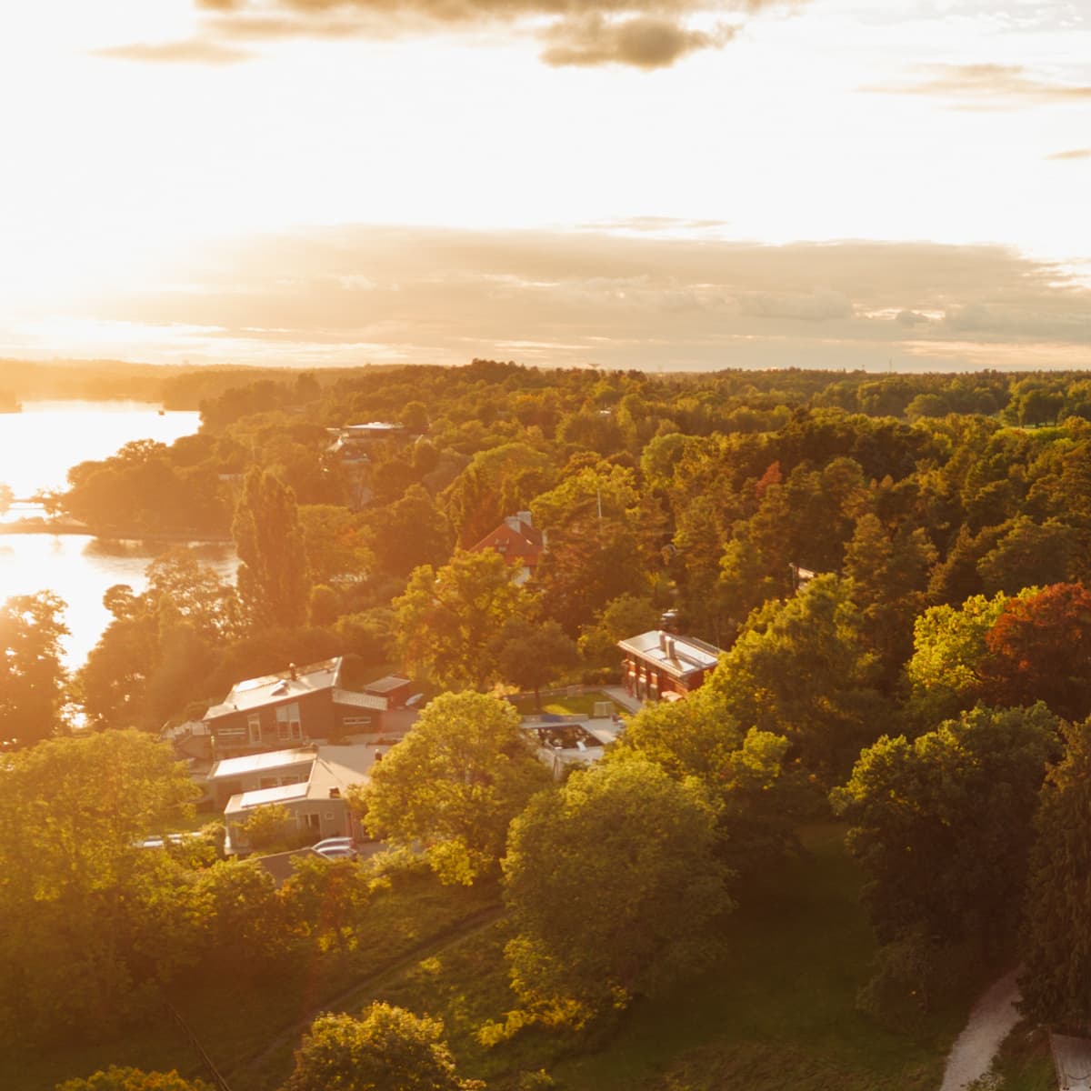 En flygbild av en byggnad omgiven av träd.