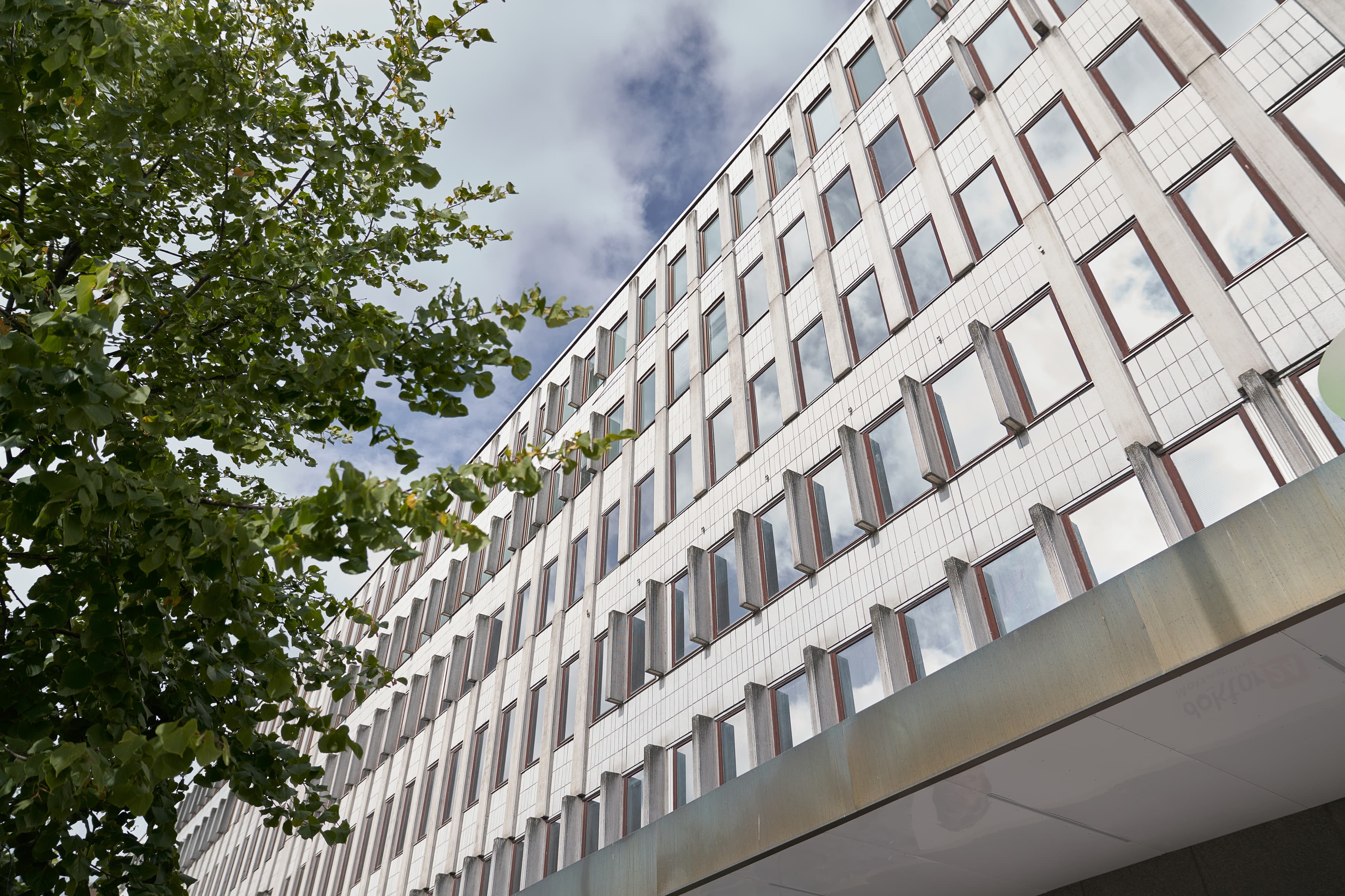 En hög byggnad med många fönster bredvid ett träd.