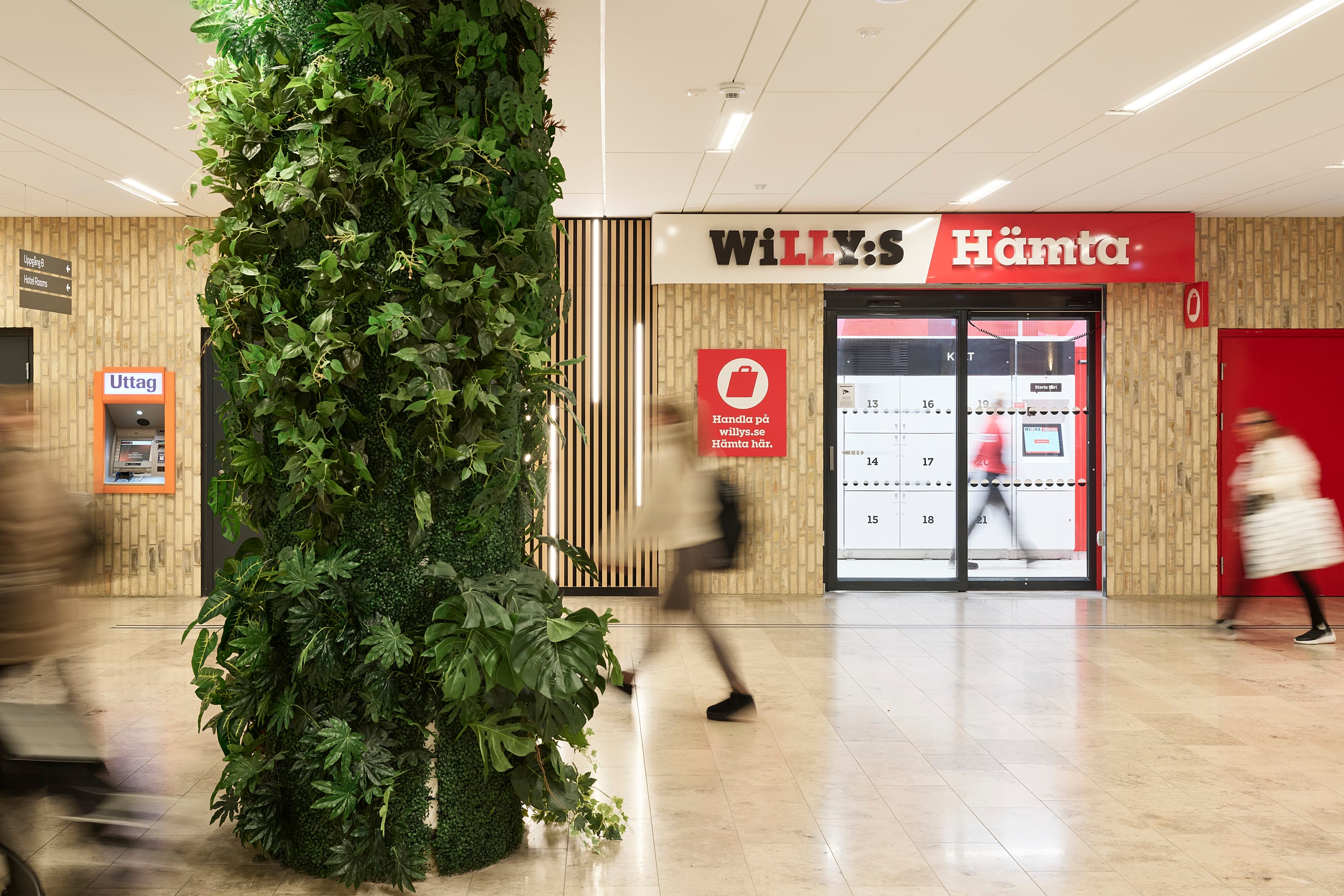 En hög grön växt utanför en matbutik.