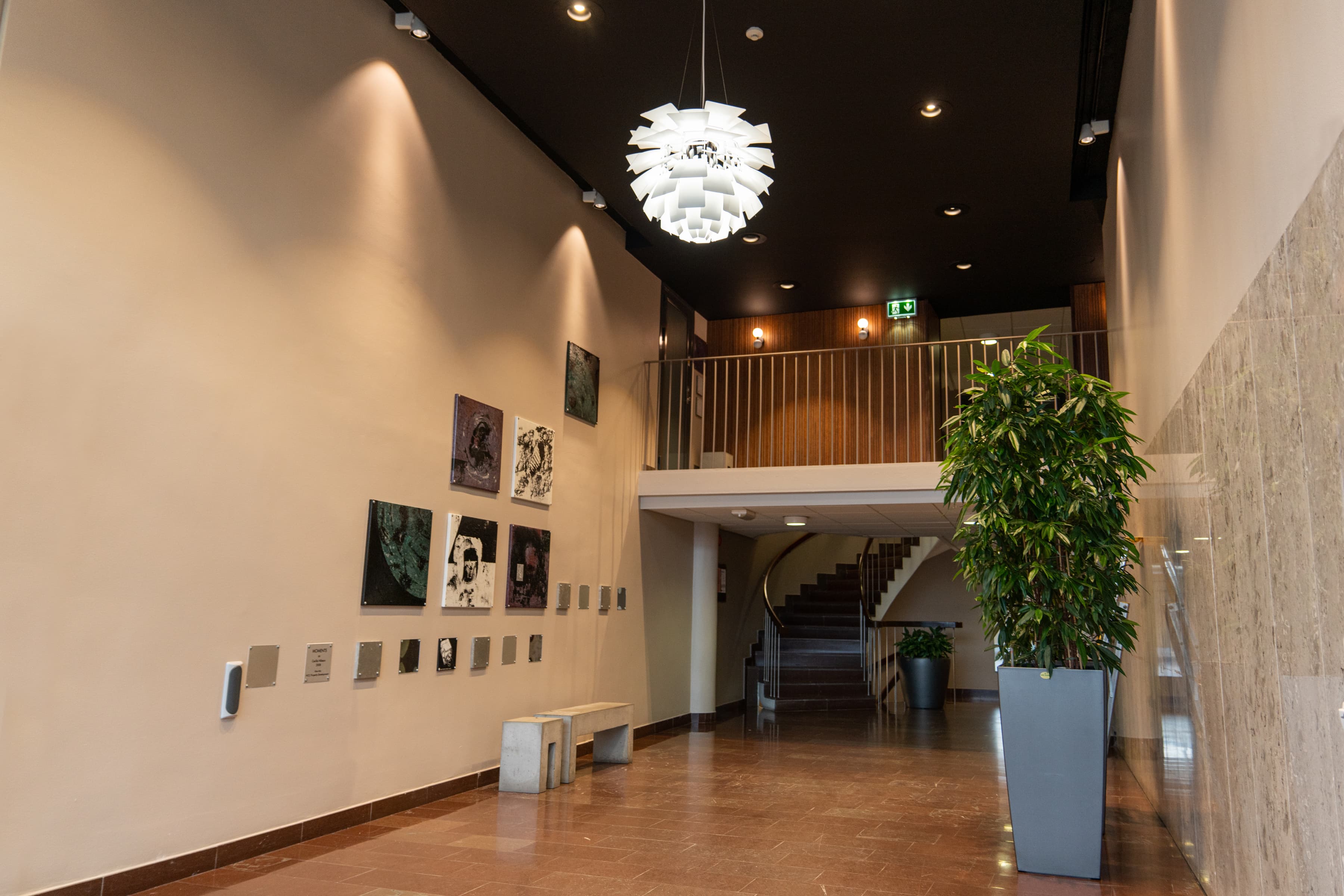 En lång korridor med en växt och bilder på väggen.