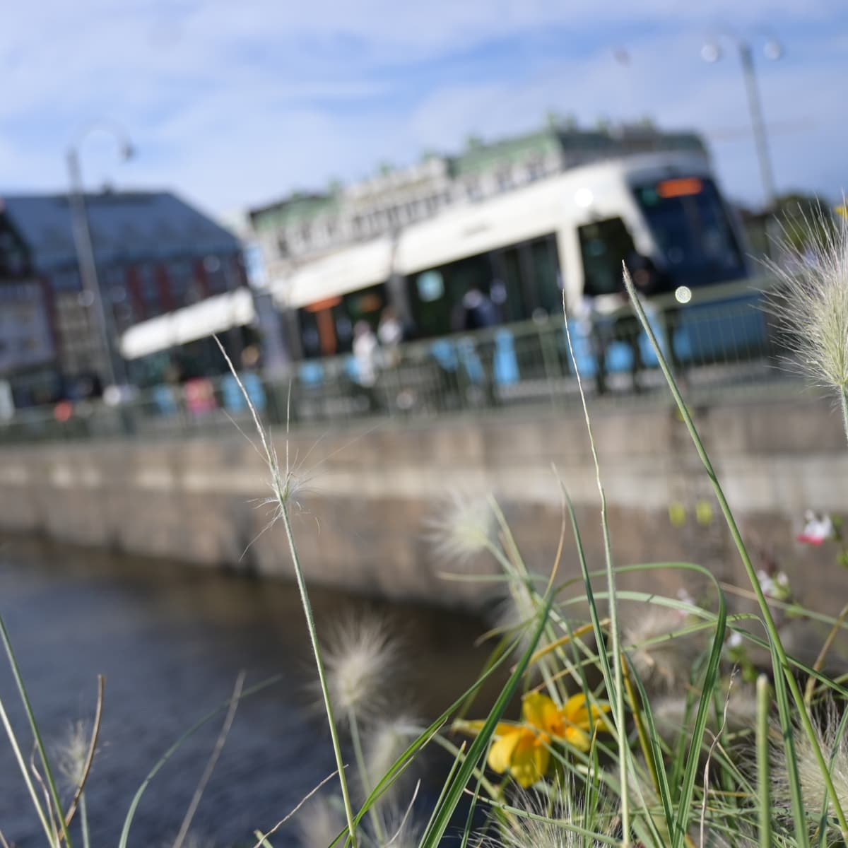 En utsikt över ett vattendrag med byggnader i bakgrunden.