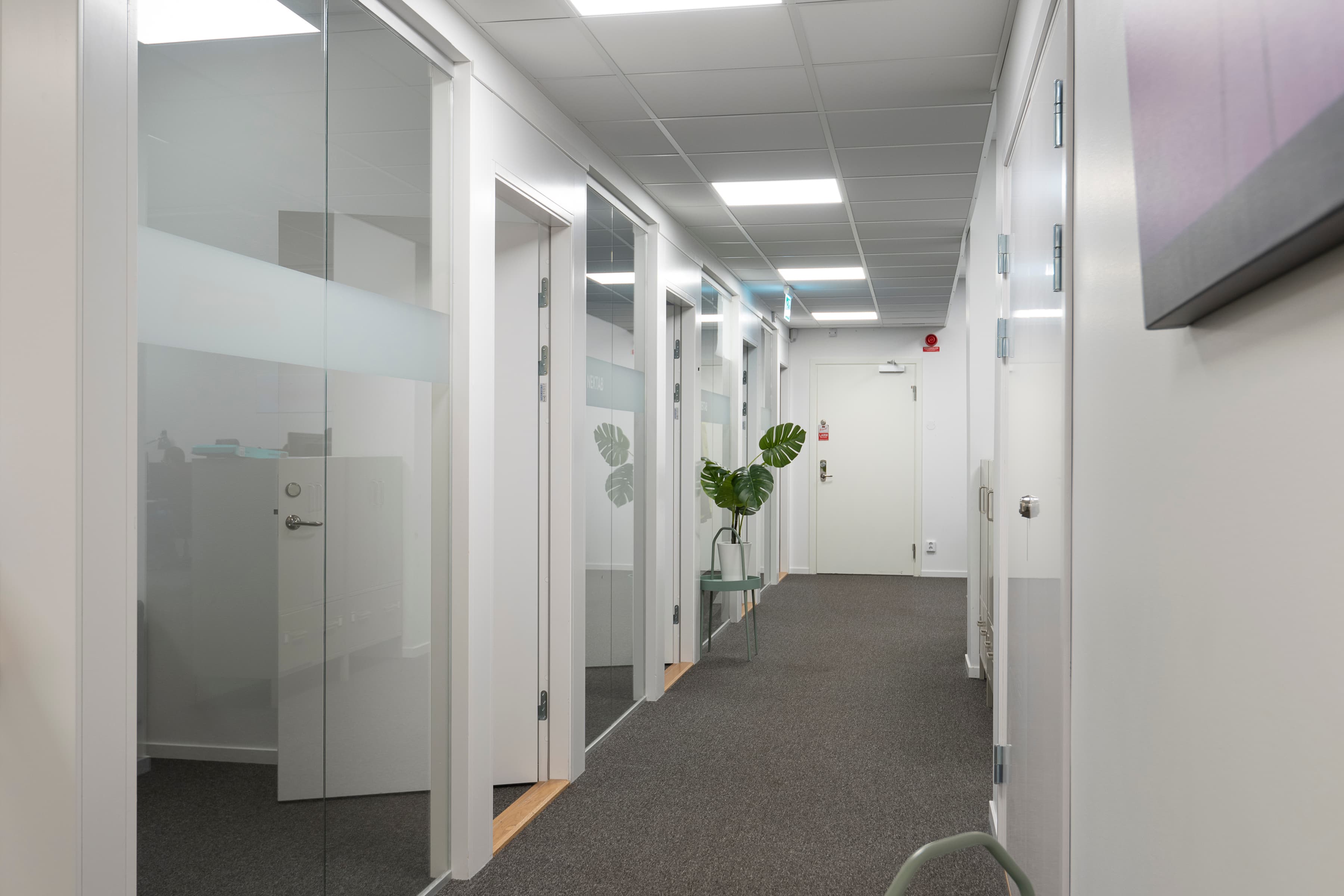 En lång korridor med glasdörrar och en växt i en vas.