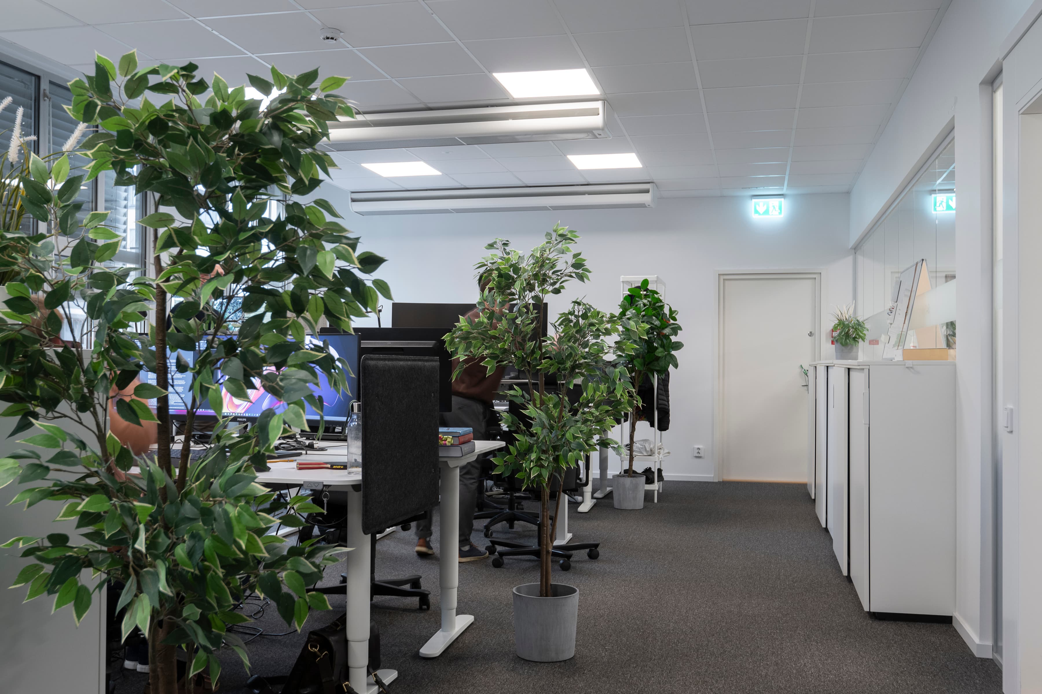 Ett kontor med många växter.