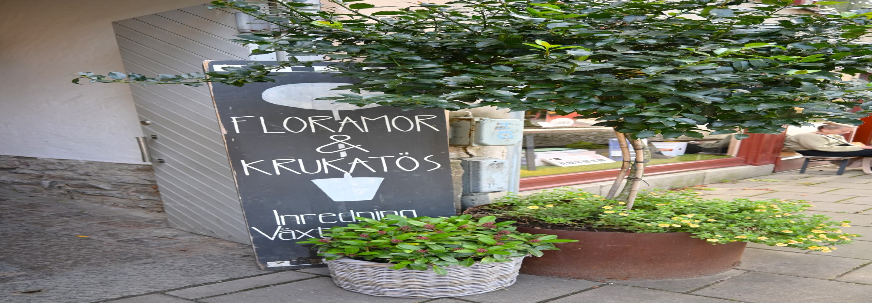 En krukväxt bredvid en skylt där det står floramor och kruktos.