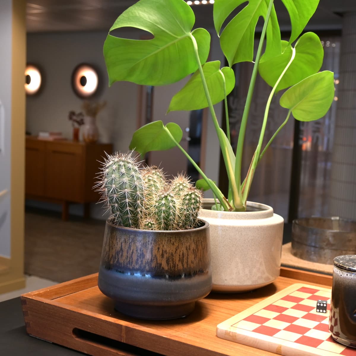 Några växter som står på ett bord.