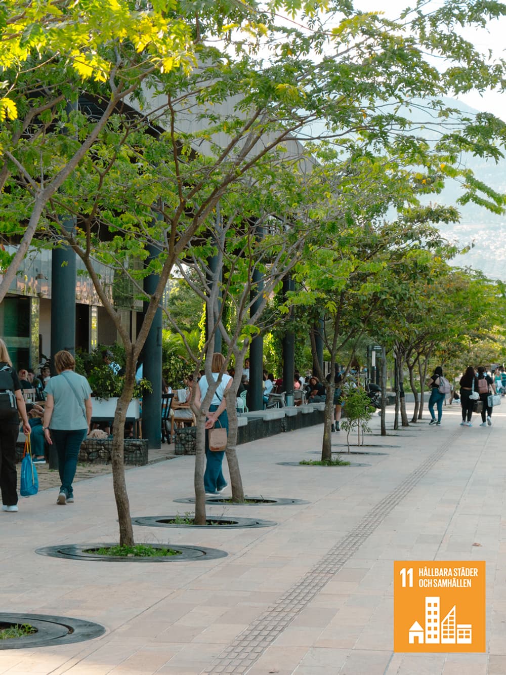 En grupp människor som går på en trottoar bredvid träd.