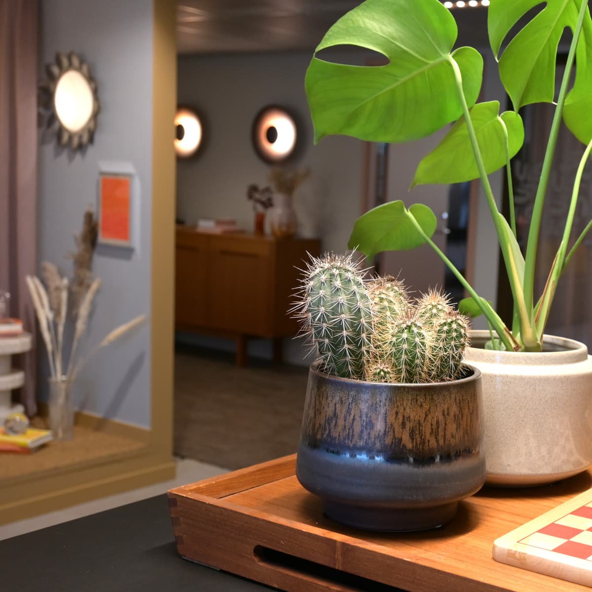 Några växter som står på ett bord.