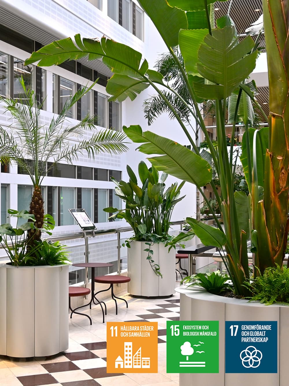 En lobby med rutigt golv och växter.