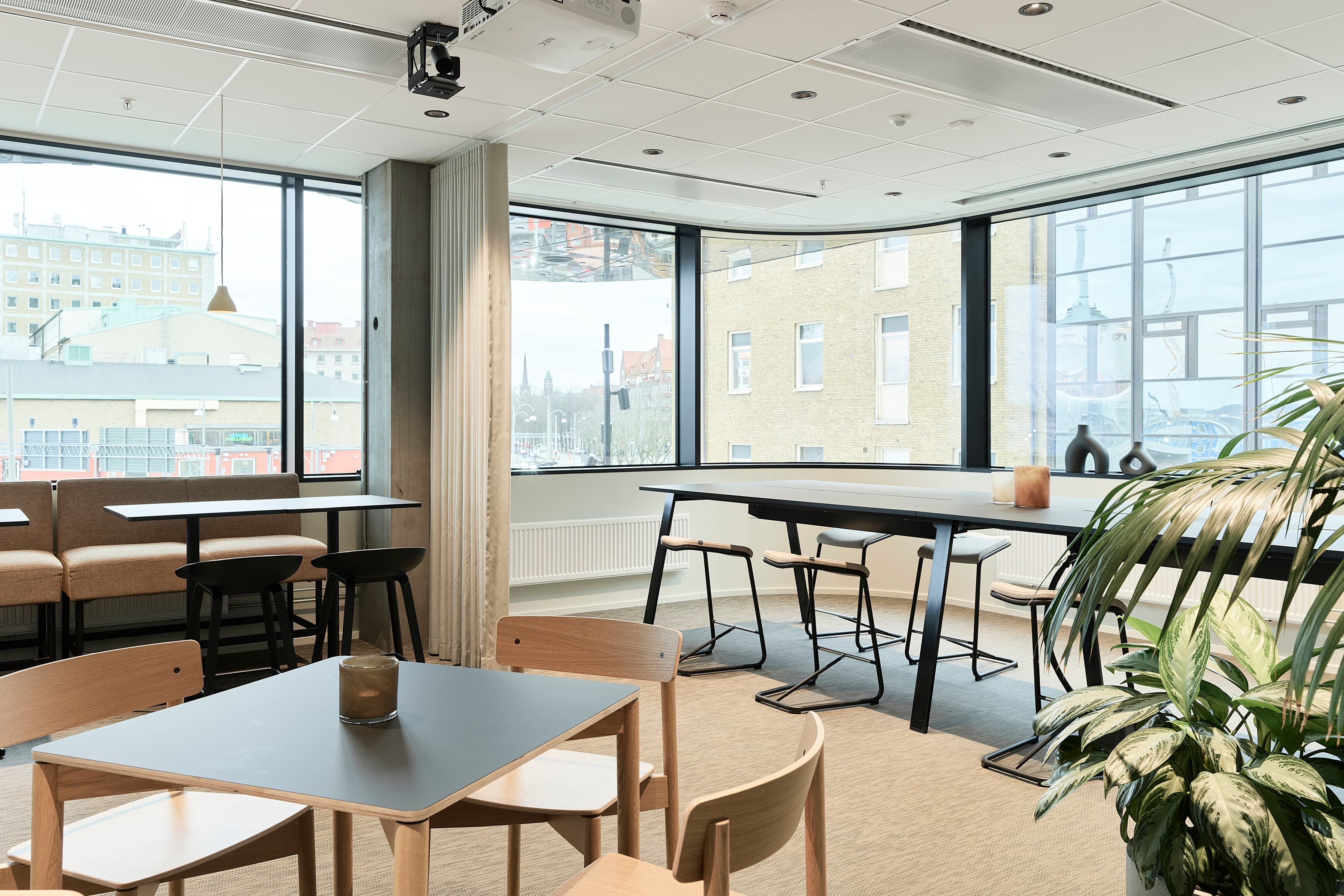 Ett rum med bord, stolar och en krukväxt.