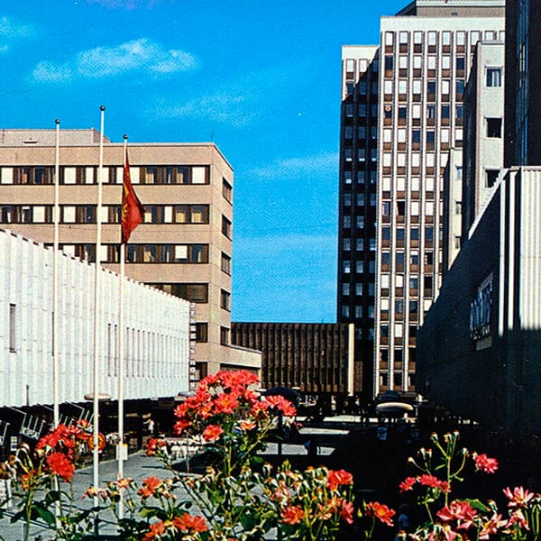En stad med höga byggnader och blommor i förgrunden.