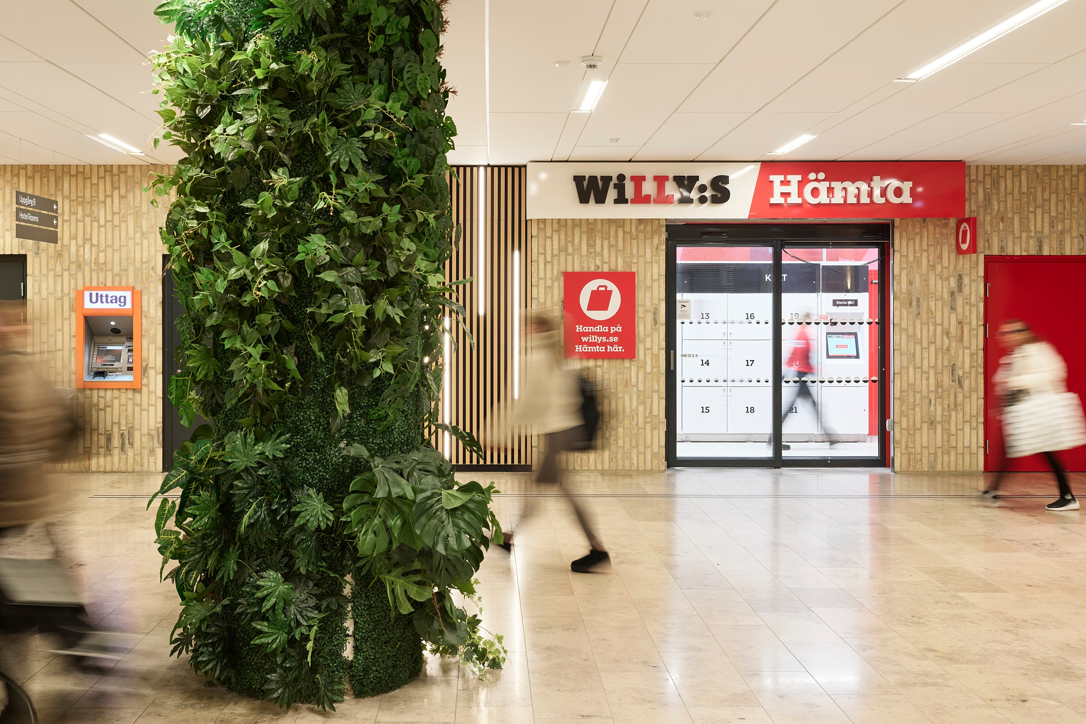 En hög grön växt utanför en matbutik.