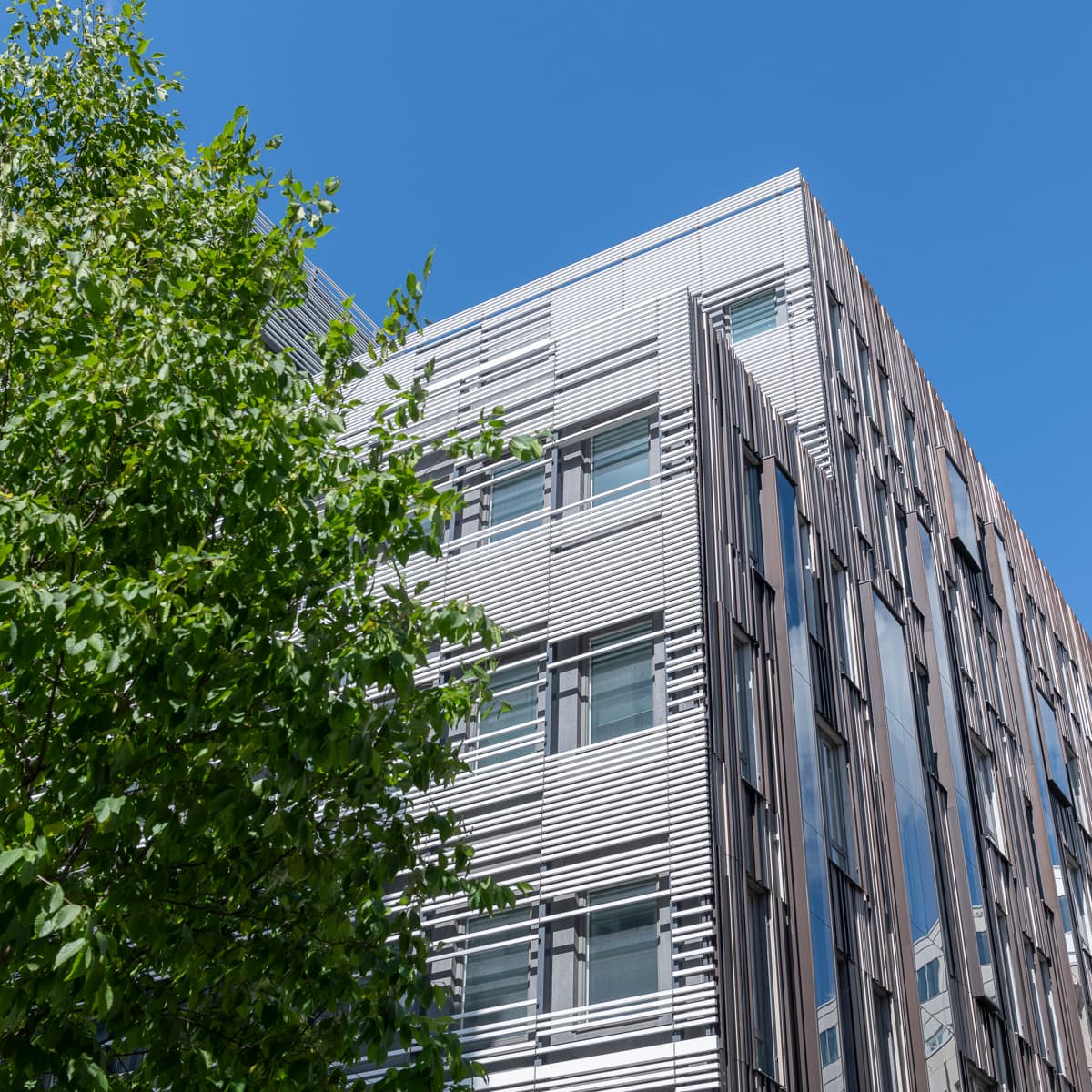 En hög byggnad som står bredvid ett grönskande träd.