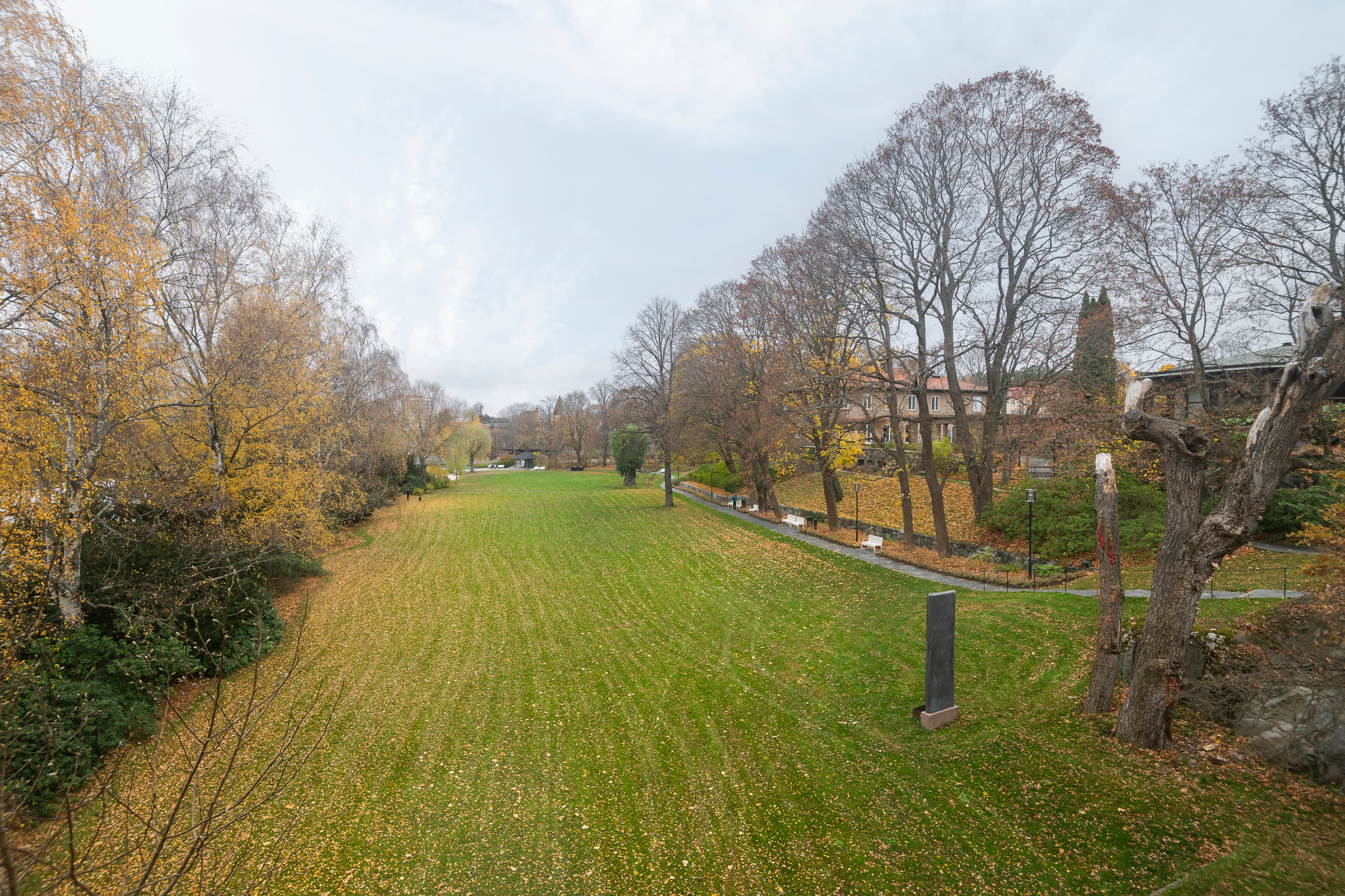 Ett stort gräsbevuxet fält med träd.