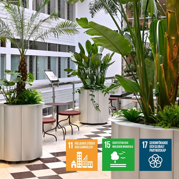 En lobby med rutigt golv och växter.