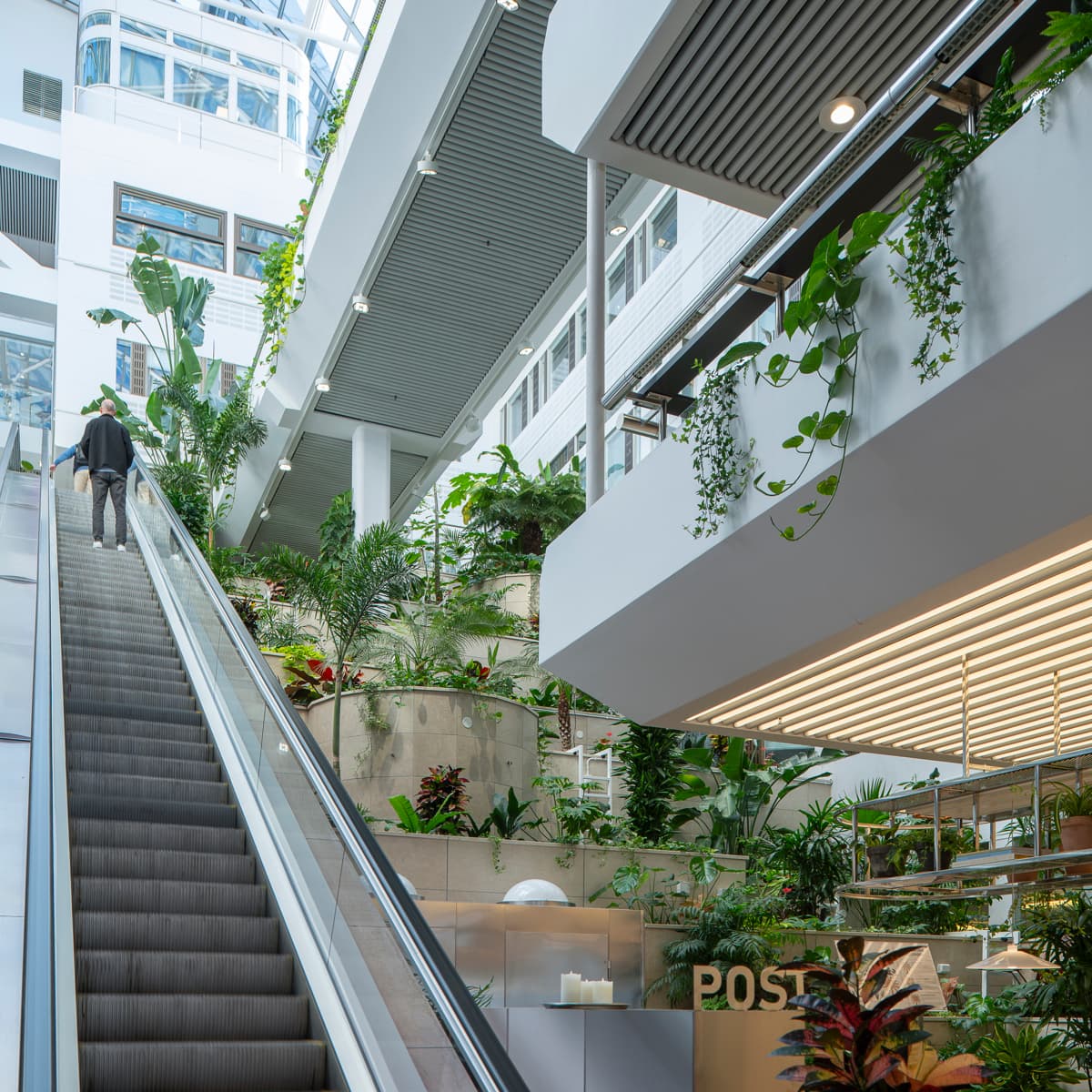 En rulltrappa i en byggnad med växter som växer på den.