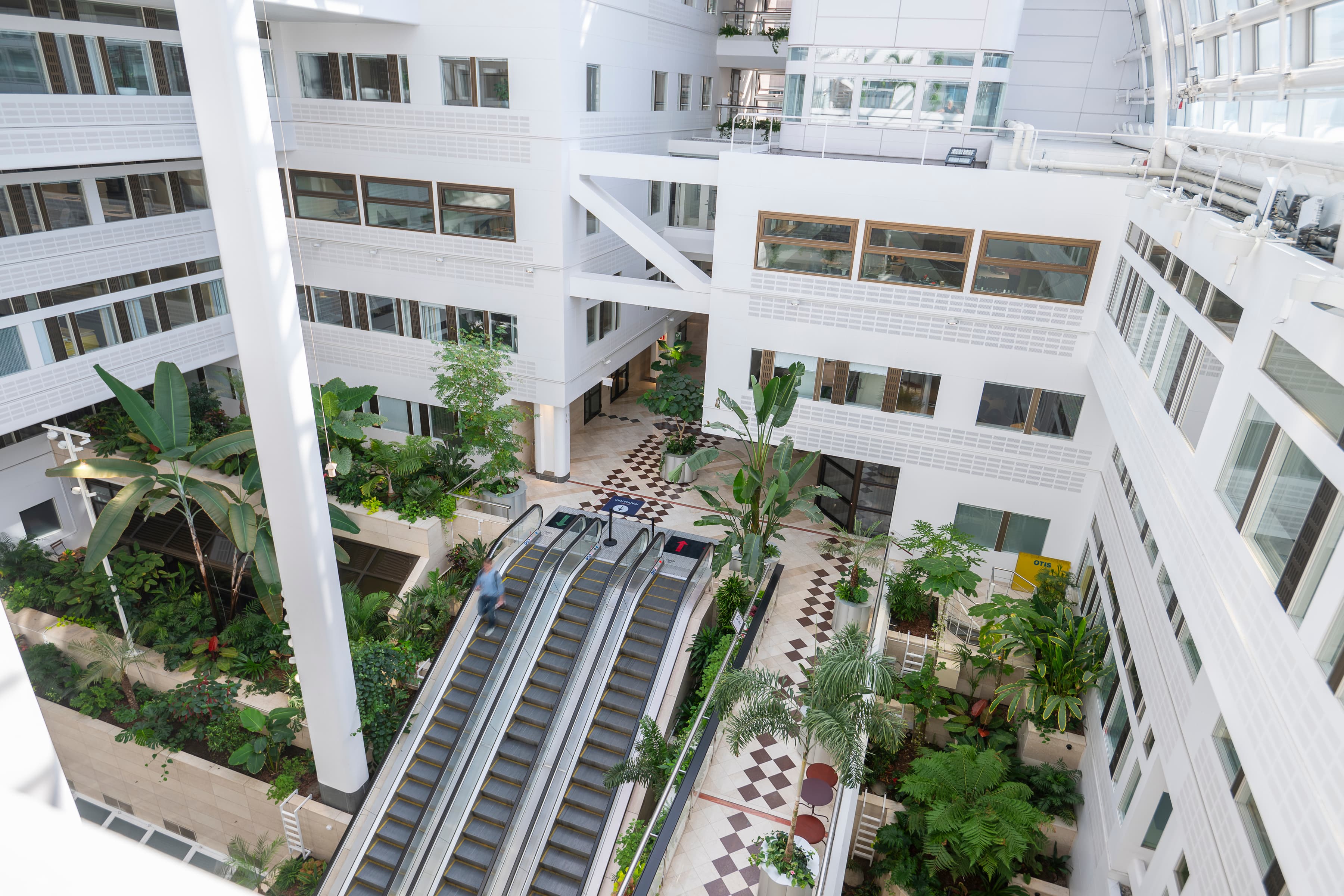 En utsikt från ovan av en byggnad med rulltrappa.