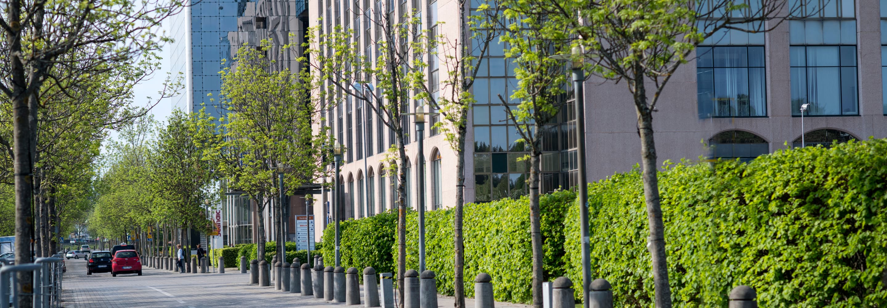 En stadsgata kantad av höga byggnader och träd.