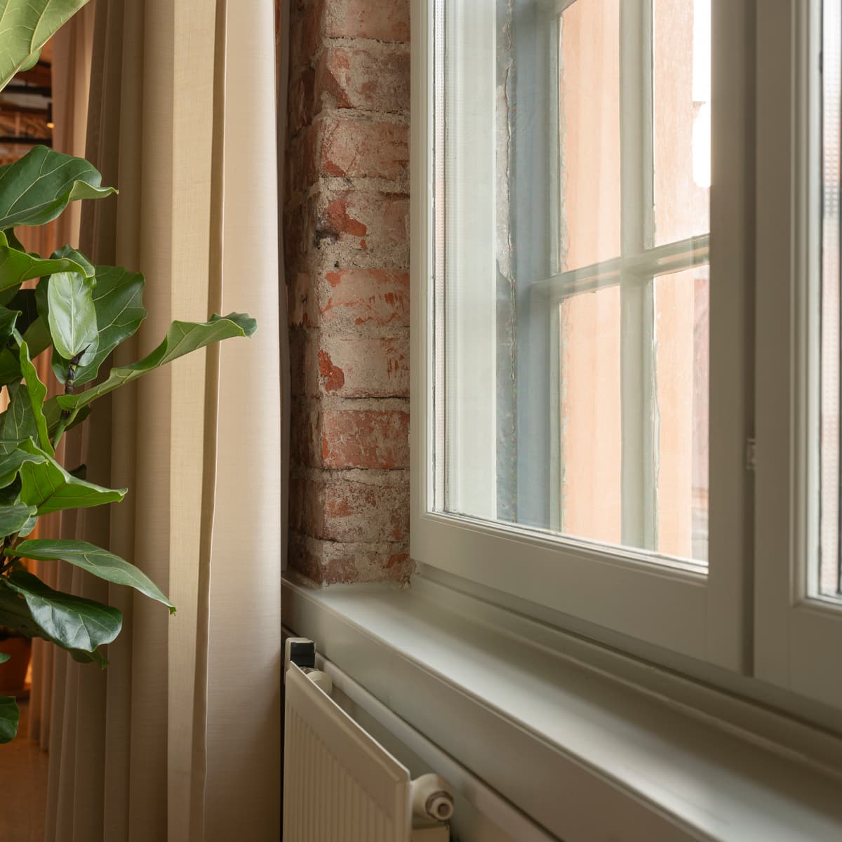 En krukväxt som sitter bredvid ett fönster.