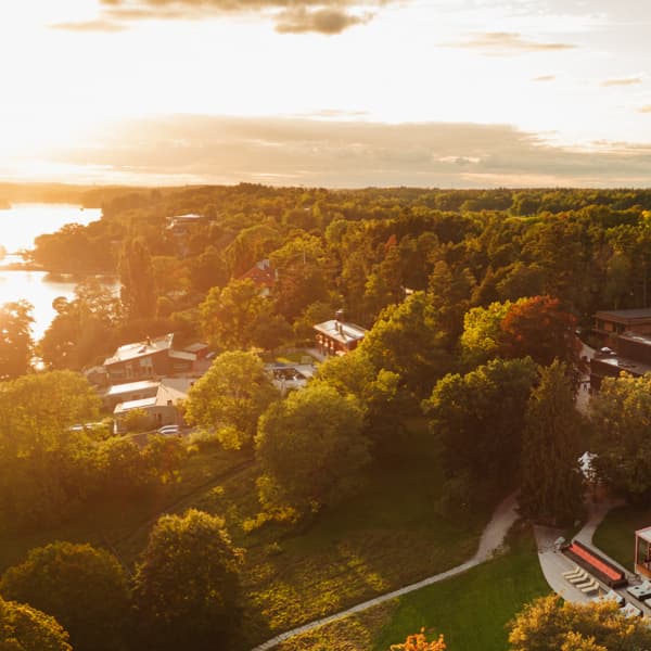 En flygbild av en byggnad omgiven av träd.