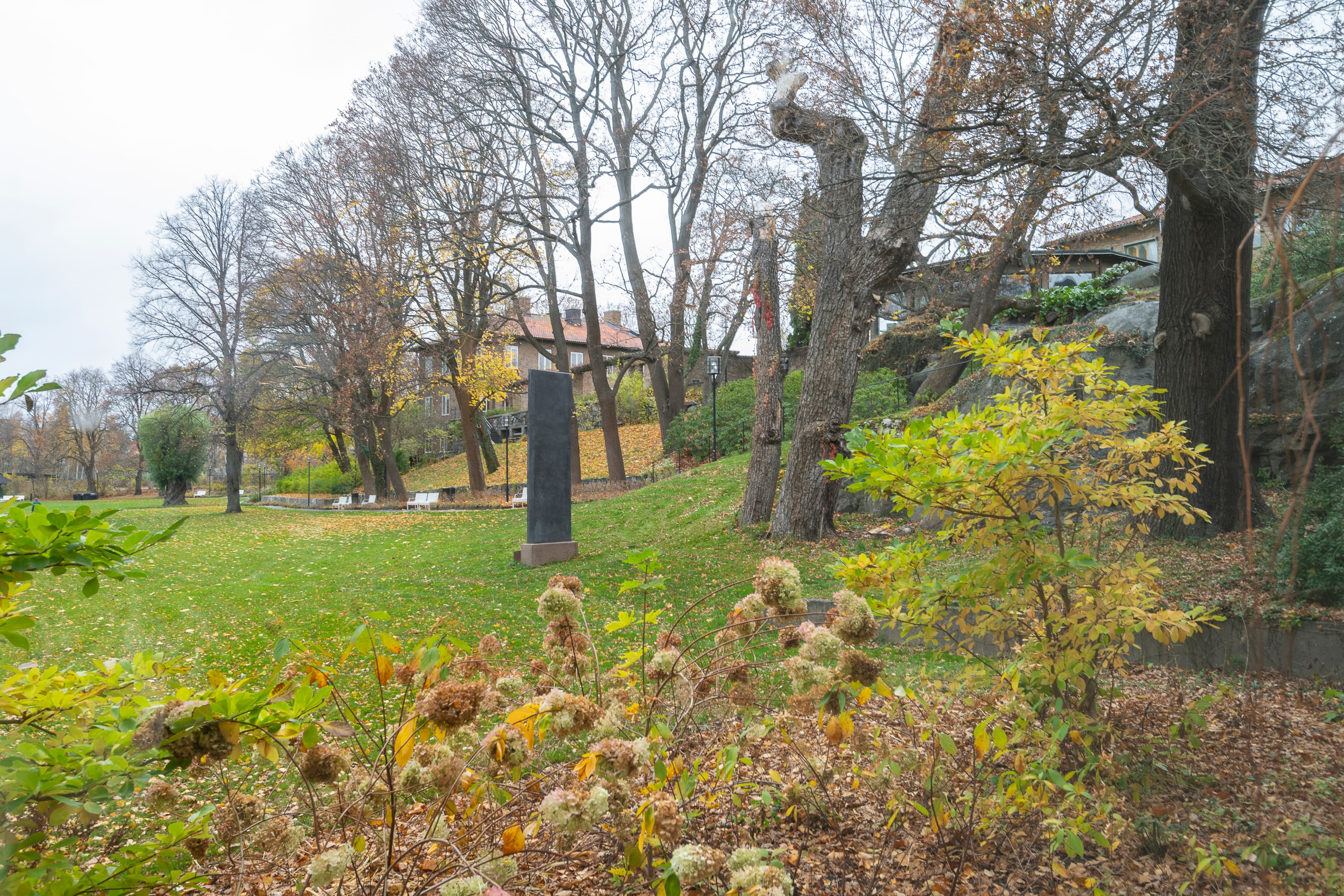 En park med grönska.