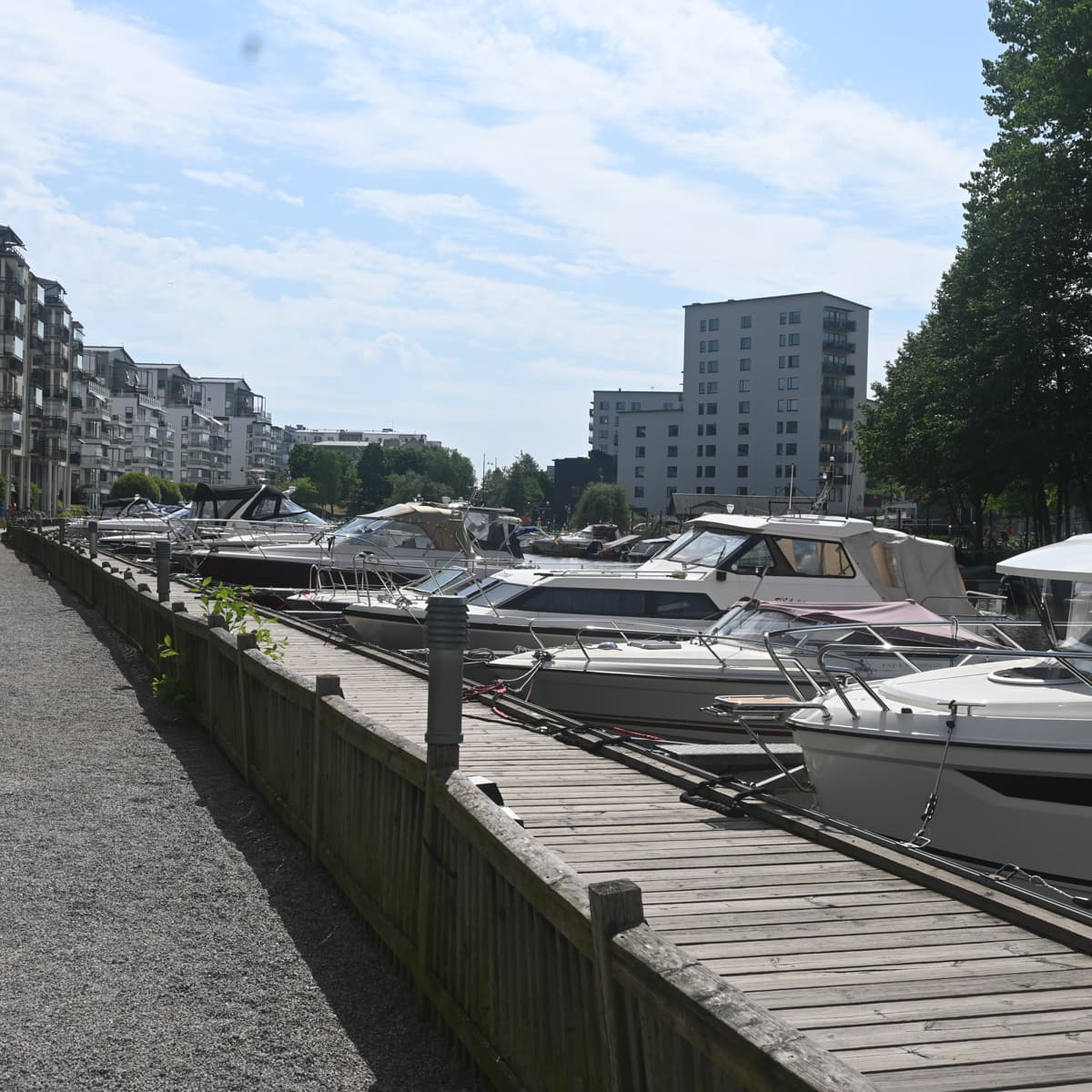 En rad båtar förtöjda vid en marina.