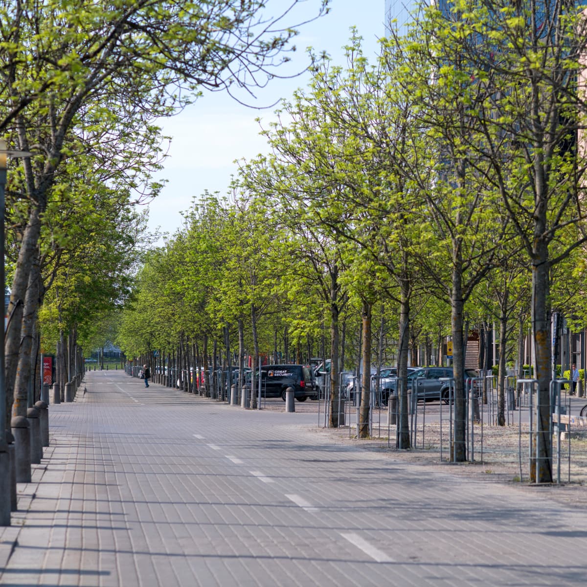 En stadsgata kantad av massor av träd.