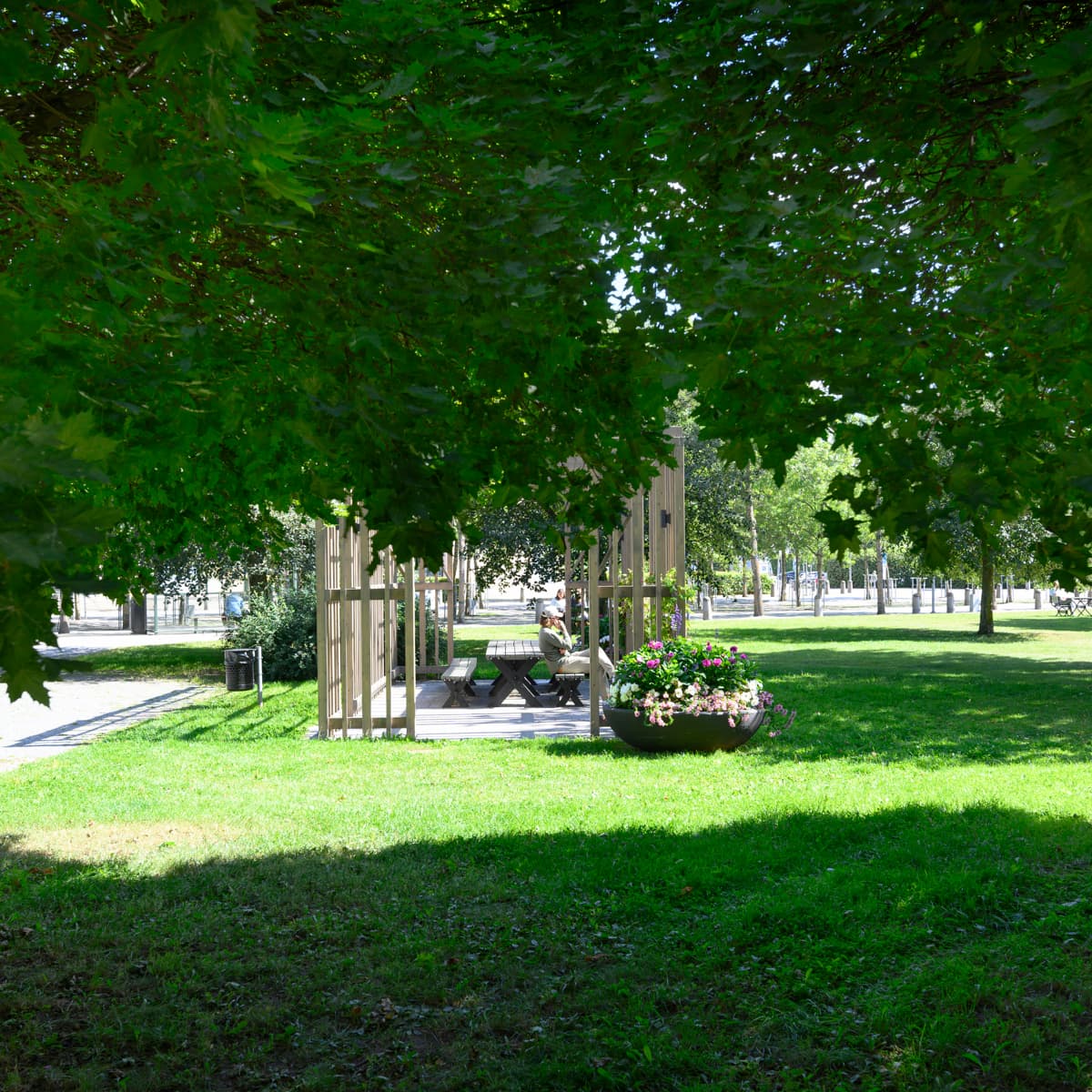 Ett parkområde med en bänk och träd.