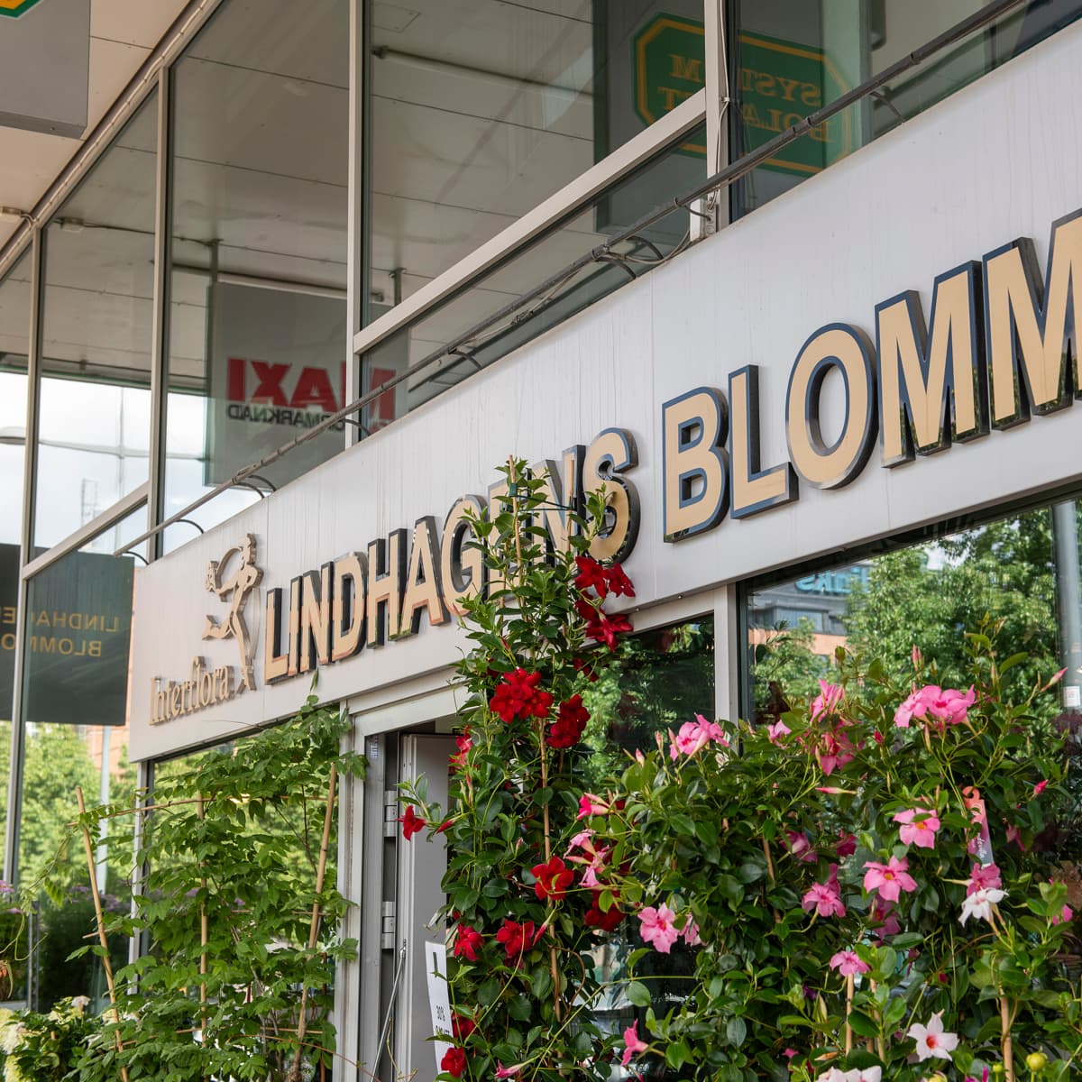 En byggnad som har en massa blommor framför sig.