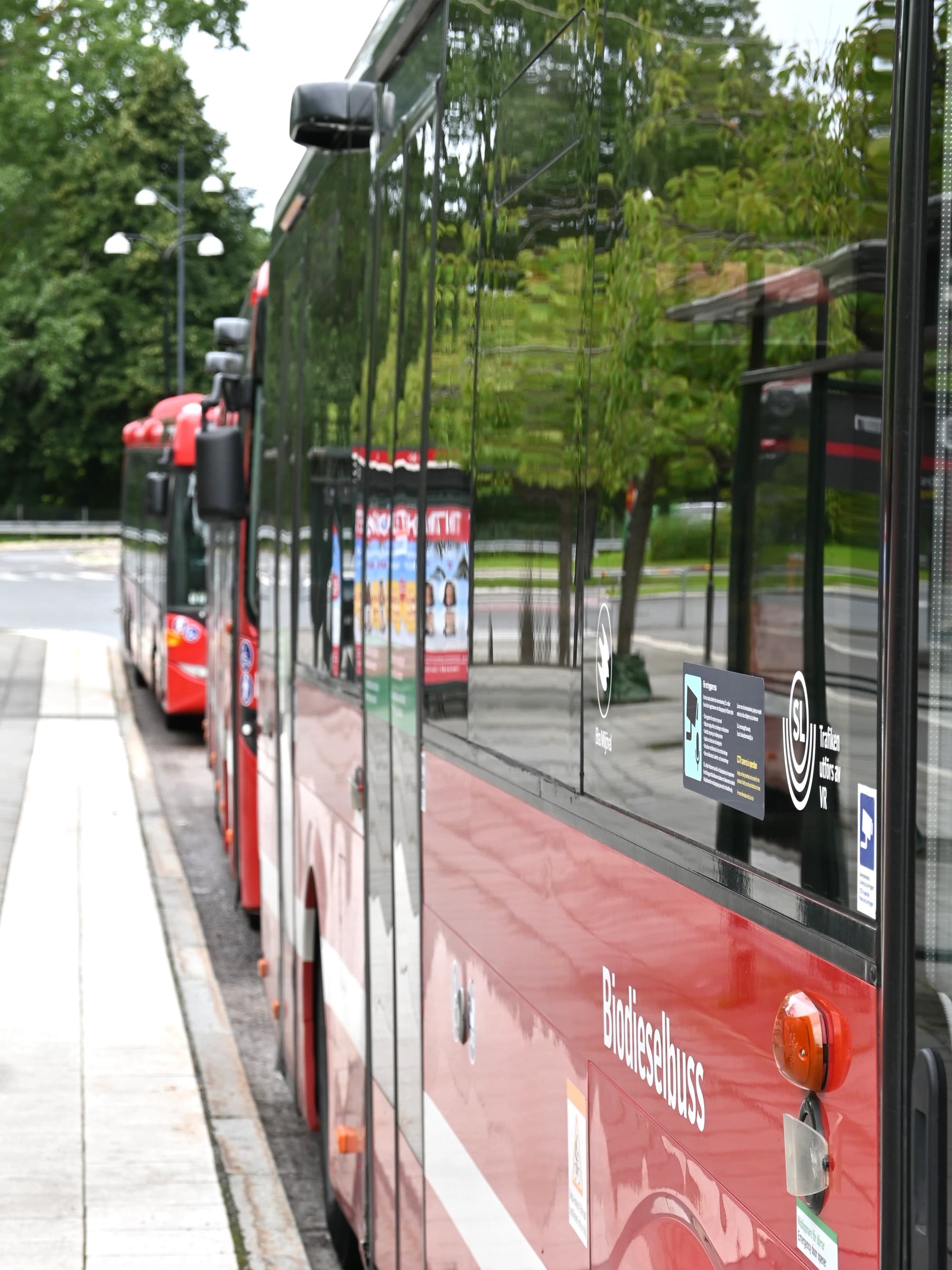 En rad röda bussar parkerade bredvid varandra.