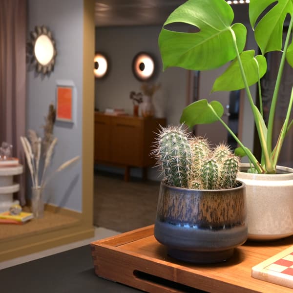 Några växter som står på ett bord.